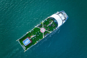 Read more about the article Sea Lion vs Other Halong Bay Day Cruises — Honest Comparison
