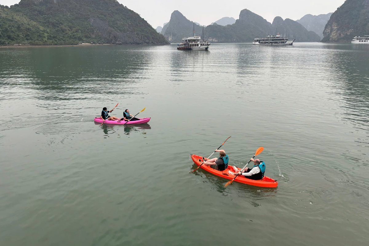 Read more about the article 5-Star Cruise Halong Bay: Inside the Sea Lion Day Trip Experience