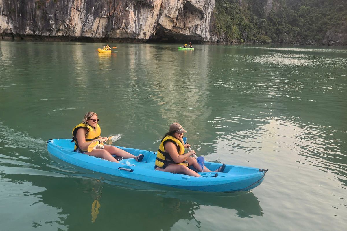 Read more about the article Alova Cruise Halong Bay: How It Compares to Sea Lion Day Trip