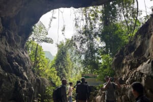 Read more about the article Best Day Cruise Halong Bay 2026: A Sea Lion Guest Review