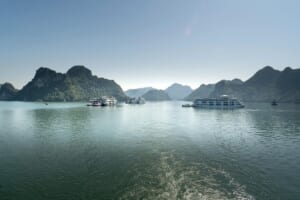 Read more about the article Halong Bay Cruise Summer 2026: Tips for Sea Lion Day Trip in Heat