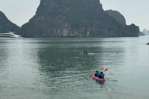 Read more about the article Halong Bay Day Cruise Comparison 2026: Sea Lion vs Cozy Premium vs Others