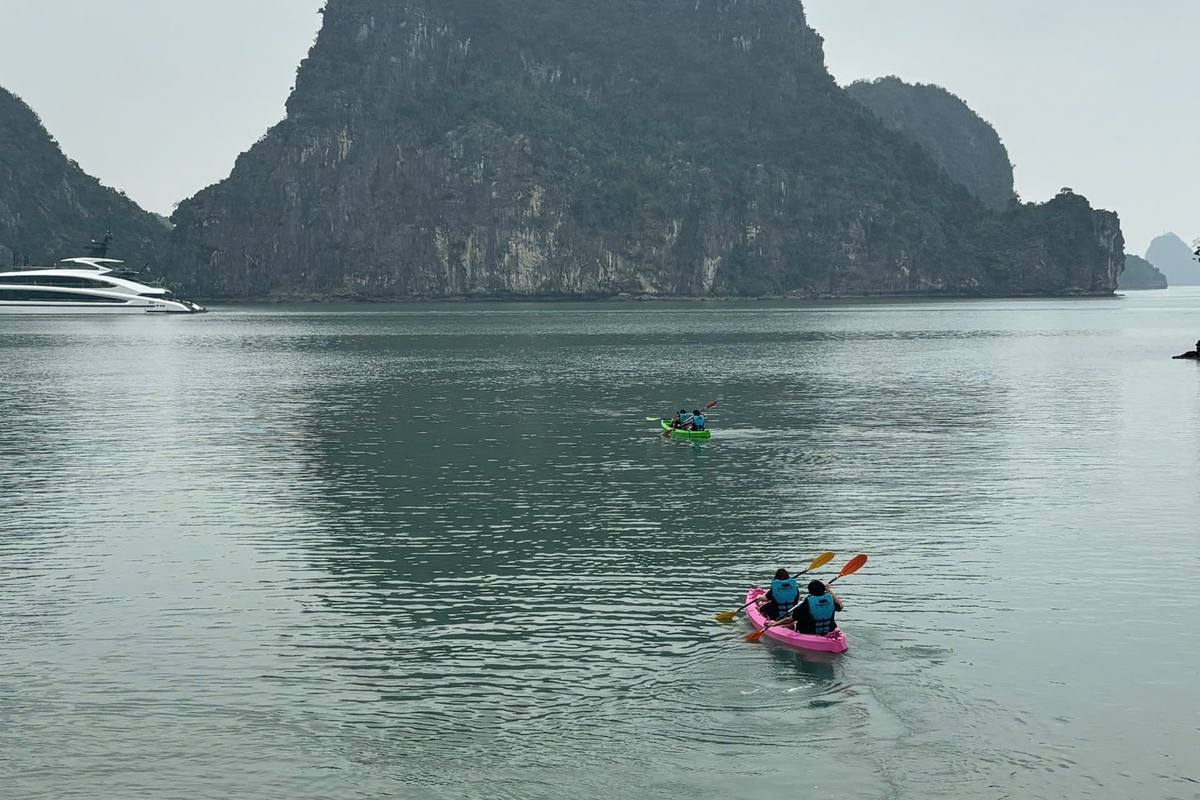 Read more about the article Halong Bay Day Cruise Comparison 2026: Sea Lion vs Cozy Premium vs Others