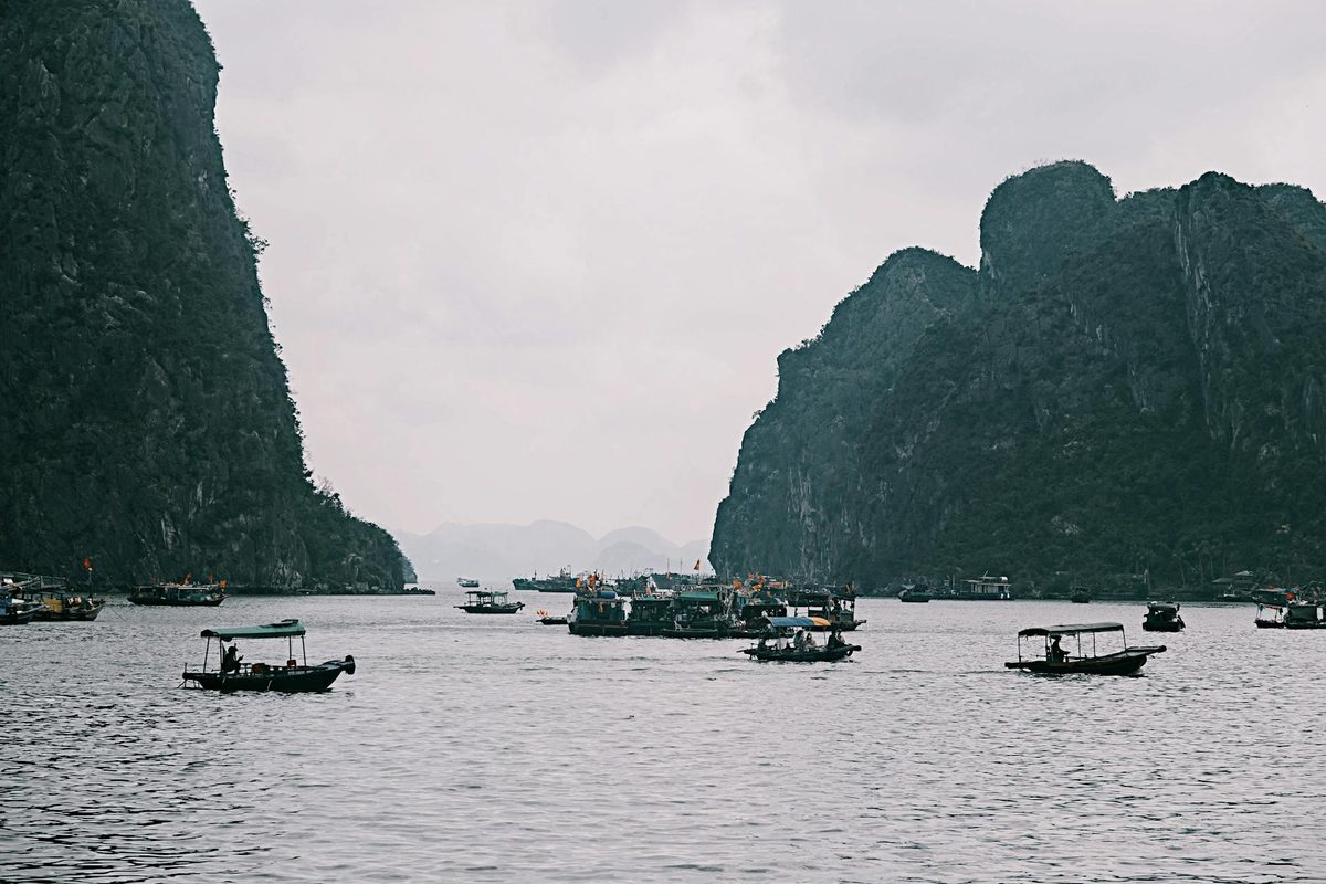 You are currently viewing Halong Bay in Autumn: The Perfect Season for a Sea Lion Day Trip