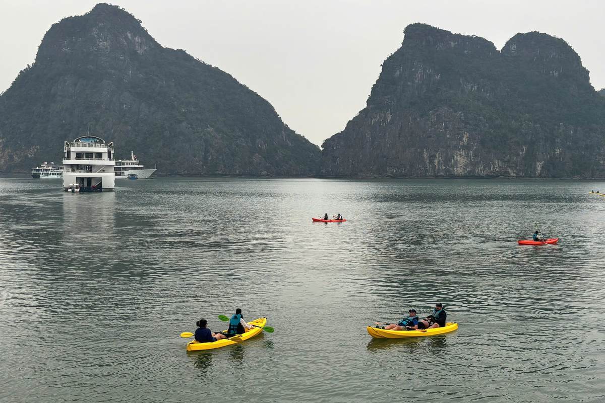 Read more about the article Luxury Day Cruise Halong Bay: What Makes Sea Lion a 5-Star Experience
